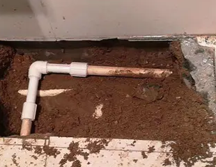 哈尔滨测漏水哪家好