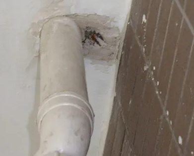 哈尔滨漏水检测哪家好